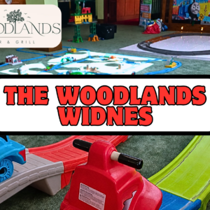 Adult ticket | Tues 22nd Dec @ The Woodlands Bar & Grill | 10:30am-12pm