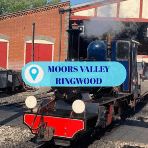 Sun 14th June | Moors Valley | 1hr of Trainmaster